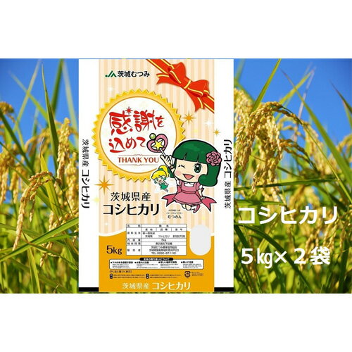 No.179 【令和5年産】茨城県産コシヒカリ10kg（5kg×2袋）精米 JA茨城むつみ ／ お米 こしひかり 旨味 送料無料 茨城県