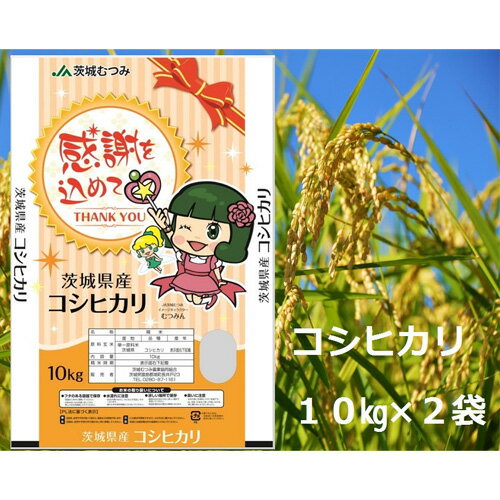 No.180 【令和5年産】茨城県産コシヒカリ20kg（10kg×2袋）精米 JA茨城むつみ ／ お米 こしひかり 旨味 送料無料 茨城県