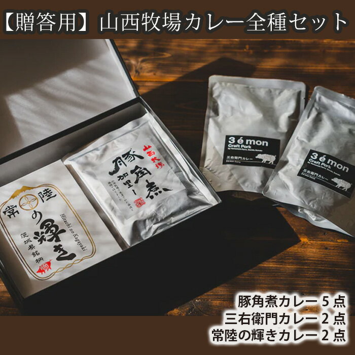 【ふるさと納税】No.204 【贈答用】山西牧場カレー全種セット ／ レトルトカレー 豚肉 詰合せ 送料無料 茨城県のサムネイル