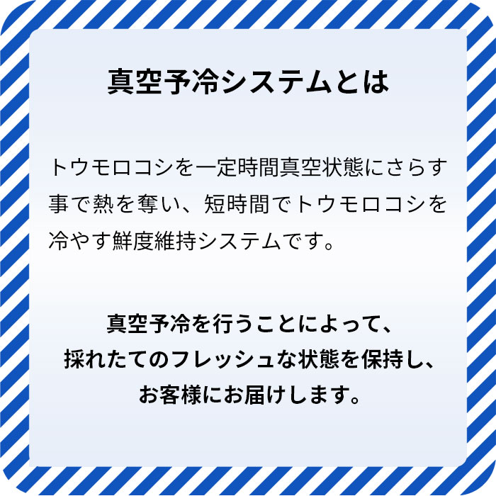 【ふるさと納税】No.234 【8kg】坂東市朝採りとうもろこし「ゴールドラッシュ」冷蔵済 ／ トウモロコシ 新鮮 採れたて 送料無料 茨城県