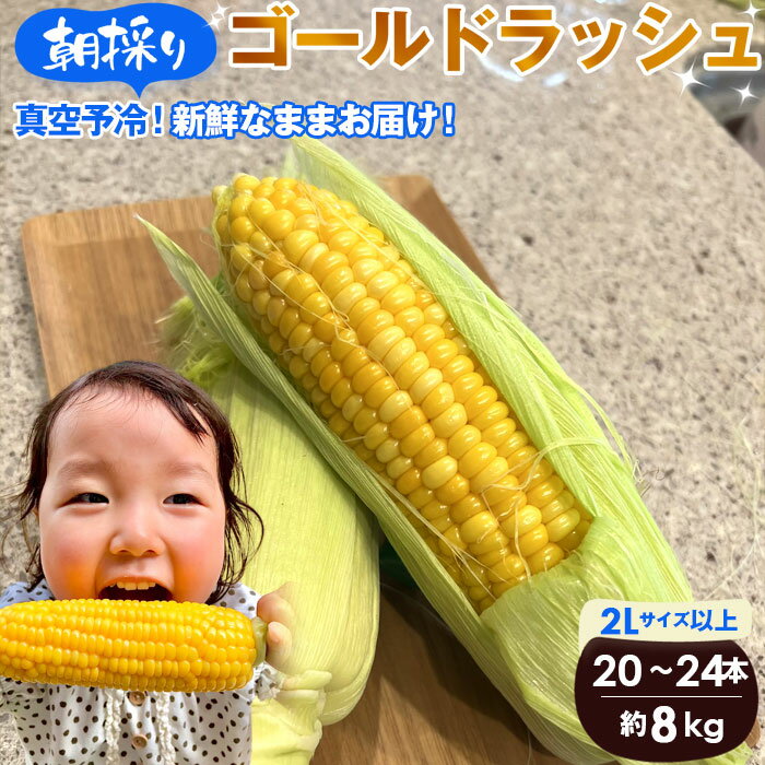 【8kg】坂東市朝採りとうもろこし「ゴールドラッシュ」冷蔵済 ／ とうもろこし ゴールドラッシュ 朝採り 8kg 2Lサイズ以上 20～24本 真空予冷 フレッシュ 冷蔵便 電子レンジ 数量限定 No.234