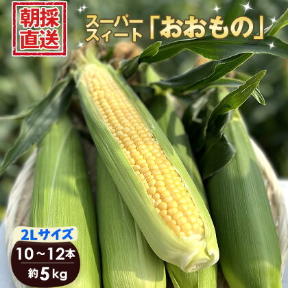 No.265 ［坂東市産］朝採り直送とうもろこし スーパースィート「おおもの」2L 10本～12本 5kg ／ 非常に甘い 糖度20度 玉蜀黍 トウモロコシ 数量限定 送料無料 茨城県