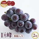 【ふるさと納税】No.315 【先行予約】巨峰 桐箱入り2房【茨城県共通返礼品 かすみがうら市】 / ぶどう ブドウ 葡萄 フルーツ 果物 贈答用 送料無料 茨...