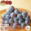 【ふるさと納税】No.316 【先行予約】ピオーネ 桐箱入り2房【茨城県共通返礼品 かすみがうら市】 / ぶどう ブドウ 葡萄 フルーツ 果物 贈答用 送料無料...