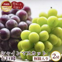【ふるさと納税】No.318 【先行予約】シャインマスカットと巨峰 桐箱入り2房【茨城県共通返礼品 かすみがうら市】 / ぶどう ブドウ 葡萄 フルーツ 果物 ...
