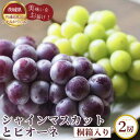 【ふるさと納税】No.320 【先行予約】シャインマスカットとピオーネ 桐箱入り2房【茨城県共通返礼品 かすみがうら市】 / ぶどう ブドウ 葡萄 フルーツ 果...