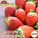 18位! 口コミ数「0件」評価「0」No.357 【先行予約】粒々いちご18粒　とちおとめと白いちご【茨城県共通返礼品 かすみがうら市】 ／ 旬 新鮮 苺 イチゴ 果物 フルー･･･ 