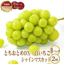 5位! 口コミ数「0件」評価「0」No.361 【先行予約】とちおとめDX1パックと白いちご1パックとシャインマスカット2房【茨城県共通返礼品 かすみがうら市】 ／ 旬 新鮮･･･ 