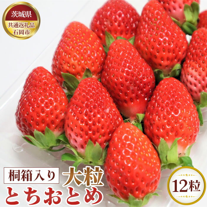 9位! 口コミ数「0件」評価「0」No.364 【先行予約】桐箱入り　大粒とちおとめ　12粒【茨城県共通返礼品 石岡市】 ／ 旬 新鮮 苺 イチゴ 果物 フルーツ 贈答用 送･･･ 