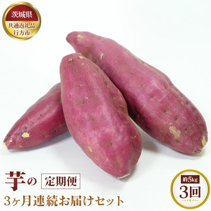 8位! 口コミ数「0件」評価「0」No.371 【先行予約】芋の3ヵ月連続お届けセット　約5kg×3回【茨城県共通返礼品 行方市】 ／ 旬 新鮮 さつま芋 サツマイモ 野菜 ･･･ 