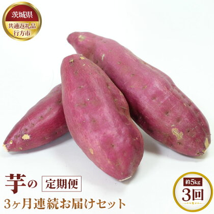 No.371 【先行予約】芋の3ヵ月連続お届けセット　約5kg×3回【茨城県共通返礼品 行方市】 ／ 旬 新鮮 さつま芋 サツマイモ 野菜 定期便 送料無料 茨城県