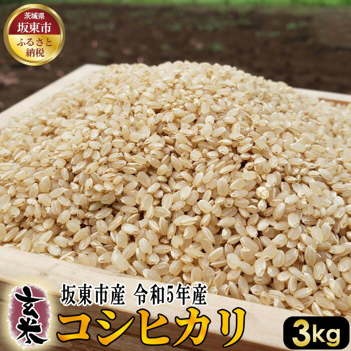 玄米 コシヒカリ3kg[令和5年産] / 自然 お米 米 こめ 送料無料 茨城県