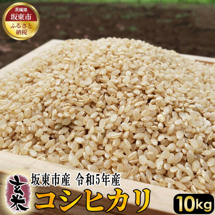 【ふるさと納税】No.401 玄米　コシヒカリ10kg【令和5年産】 ／ 自然 お米 米 こめ 送料無料 茨城県