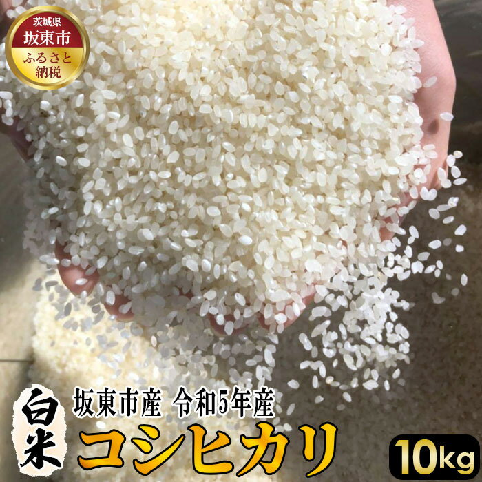 No.404 白米　コシヒカリ10kg【令和5年産】 ／ 自然 お米 米 こめ 送料無料 茨城県