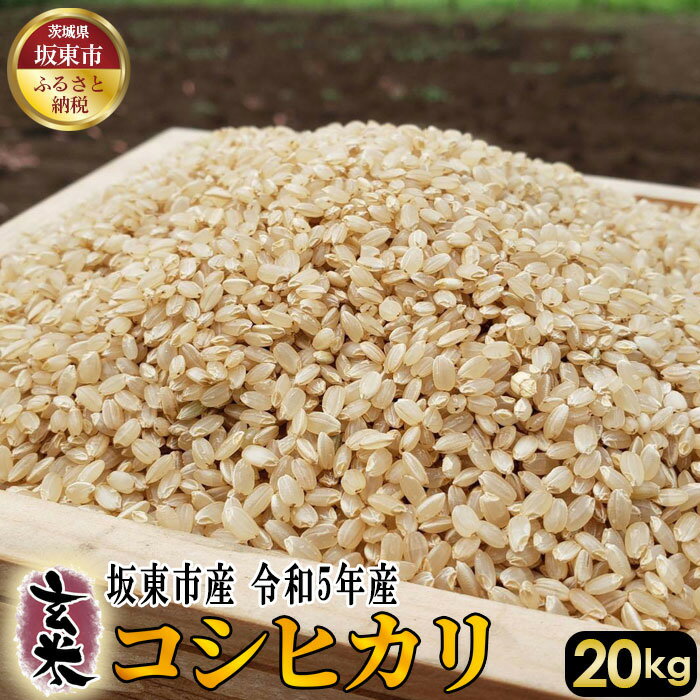 No.411 玄米　コシヒカリ20kg ／ 自然 お米 米 こめ 送料無料 茨城県