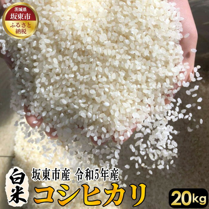 No.412 白米　コシヒカリ20kg【令和5年産】 ／ 自然 お米 米 こめ 送料無料 茨城県