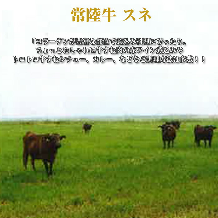 【ふるさと納税】No.439 【常陸牛】スネ　約1kg＜茨城県共通返礼品＞ ／ お肉 牛肉 すね肉 ワイン煮込み コラーゲン 送料無料 茨城県