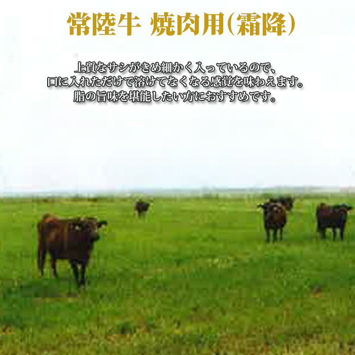 茨城県坂東市の画像2