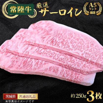 No.460 【常陸牛】A5ランク厳選サーロイン（ステーキ用）約250g×3枚＜茨城県共通返礼品＞ ／ お肉 牛肉 赤身 キャンプ バーベキュー BBQ お祝い 御祝 送料無料 茨城県