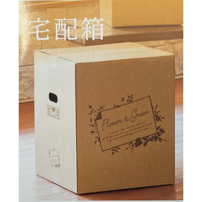茨城県坂東市の画像3