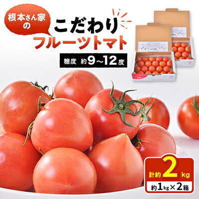 【ふるさと納税】根本さん家のこだわりフルーツトマト2箱【1015270】