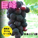 【ふるさと納税】【茨城県稲敷市産】秋本ぶどう園直送 巨峰詰合せ約2kg【配送不可地域:離島・沖縄県】【1085739】
