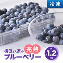 【ふるさと納税】横田さん家の冷凍完熟ブルーベリー 2パック【配送不可地域:離島・沖縄県】【1085839】