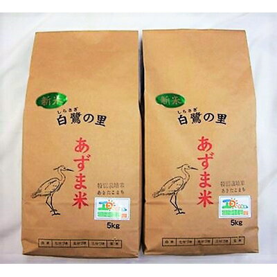 【令和5年産】稲敷産特別栽培あきたこまち白米 10kg【配送不可地域：離島・沖縄県】【1142786】