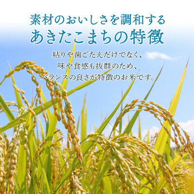 【ふるさと納税】【令和8年産】稲敷市産「あきたこまち」無洗米10kg(5kg×2p)_ 無洗米 あきたこまち お米 白米 ごはん 10kg 稲敷市 茨城県 美味しい 人気 おすすめ 送料無料 【配送不可地域：離島・沖縄県】【1232996】 f082295-inashiki-10000363 茨城県稲敷市 サンプル画像2