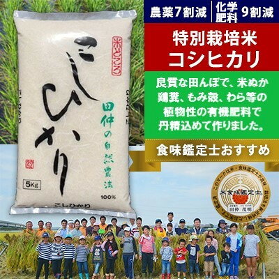 【令和4年産】特別栽培米 田仲のこしひかり10kg(5kg×2)【1305171】