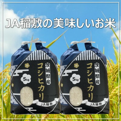 【令和5年産】コシヒカリ精米10kg(コシヒカリ5kg×2)【配送不可地域：離島・沖縄県】【1379063】