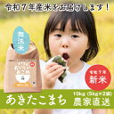 【ふるさと納税】【令和7年産・自家栽培・自家精米・農家直送】稲敷市産あきたこまち10kg(5kg×2袋)無洗米【配送不可地域:離島・沖縄県】【1430545】