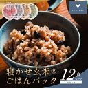 【ふるさと納税】寝かせ玄米ごはんパック160g 4種ミックス 12食/24食/48食【配送不可地域:離島・沖縄県】【G1587838】