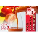 【ふるさと納税】国産 フルーツトマトジュース PRINCESS 720ml【配送不可地域:離島・沖縄県】【1607934】