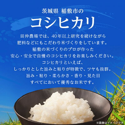 【ふるさと納税】【令和8年産】茨城県産 コシヒカリ 精米 15kg(5kg×3袋)　茨城県 稲敷市【配送不可地域：離島・沖縄県】【1766959】 f082295-inashiki-10001241 茨城県稲敷市 サンプル画像2