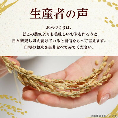 【ふるさと納税】【令和8年産】茨城県産 コシヒカリ 精米 15kg(5kg×3袋)　茨城県 稲敷市【配送不可地域：離島・沖縄県】【1766959】 f082295-inashiki-10001241 茨城県稲敷市 サンプル画像3