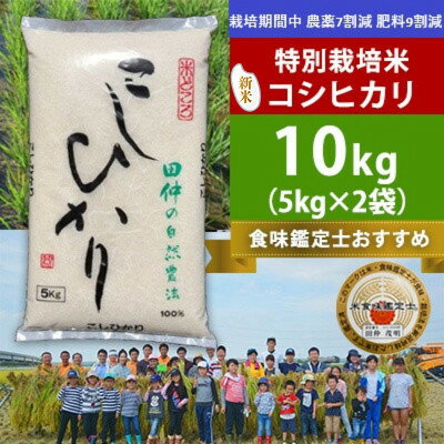 新米[令和8年産]特別栽培米 田仲のこしひかり(精米)10kg(5kg×2袋) 茨城県 稲敷市[配送不可地域:離島・沖縄県]