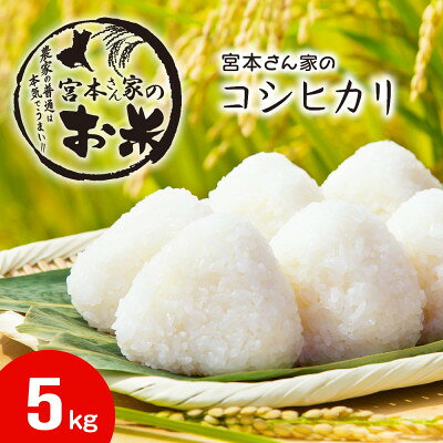 《令和8年産》茨城県稲敷市産コシヒカリ 精米5kg【配送不可地域：離島・沖縄県】【1782143】