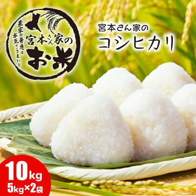 《令和8年産》茨城県稲敷市産コシヒカリ 精米10kg(5kg×2袋)【配送不可地域：離島・沖縄県】【1782145】