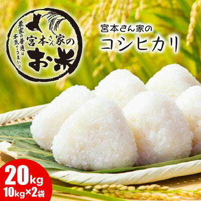 《令和8年産》茨城県稲敷市産コシヒカリ 精米20kg(10kg×2袋)【配送不可地域：離島・沖縄県】【1782146】