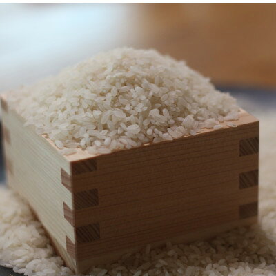 令和7年産 稲敷市産 プリンセスサリー(精米)計3kg【配送不可地域：離島・沖縄県】【1783675】