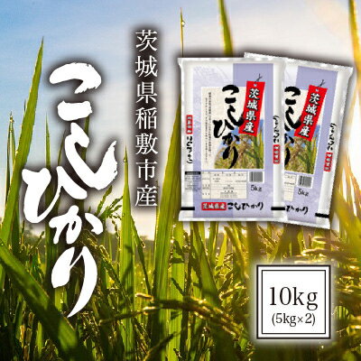 【ふるさと納税】【毎月定期便】茨城県稲敷市産コシヒカリ10kg(5kg×2)全3回【配送不可地域：離島・沖縄県】【4012107】