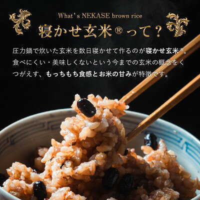 【ふるさと納税】【毎月定期便】寝かせ玄米ごはんパック4種ミックス【160g×24食】全3回【配送不可地域：離島・沖縄県】【4087544】 f082295-inashiki-10001166 茨城県稲敷市 サンプル画像2