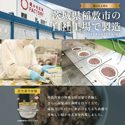 【ふるさと納税】【毎月定期便】寝かせ玄米ごはんパック4種ミックス【160g×24食】全3回【配送不可地域：離島・沖縄県】【4087544】 f082295-inashiki-10001166 茨城県稲敷市 サンプル画像3
