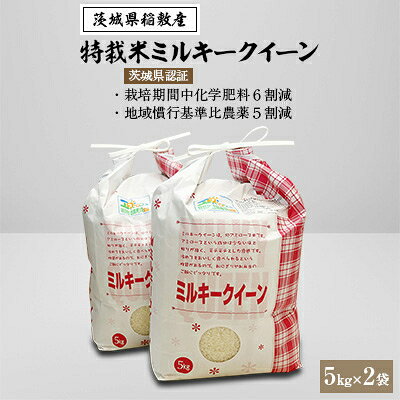 2022年10月発送開始『定期便』【令和4年産】特裁米ミルキークイーン5kg×2袋 全6回【5080231】