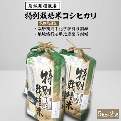 2022年10月発送開始『定期便』【令和4年産】特別栽培米コシヒカリ5kg×2袋 全6回【5080459】