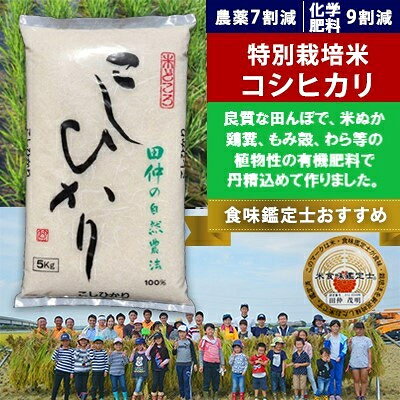 2023年7月発送開始『定期便』特別栽培米 田仲のこしひかり10kg(5kg×2袋)全6回【配送不可地域：離島・沖縄県】【5123928】
