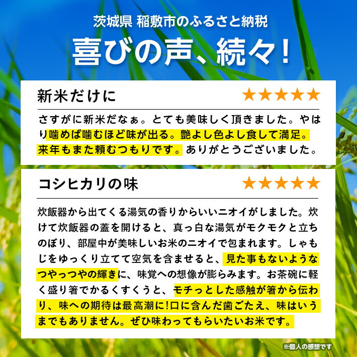 【ふるさと納税】【令和5年産】代表的なお米　茨城県産コシヒカリ10kg【配送不可地域：離島・沖縄県】【1083438】