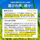茨城県稲敷市の画像2