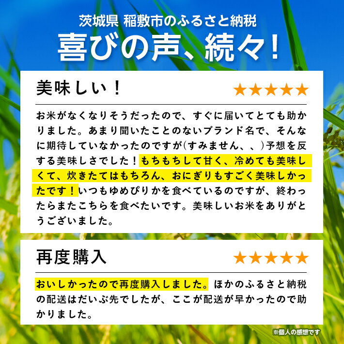 【ふるさと納税】【令和5年産】茨城県産しきゆたか10kg(5kg×2袋)【配送不可地域：離島・沖縄県】【1083439】